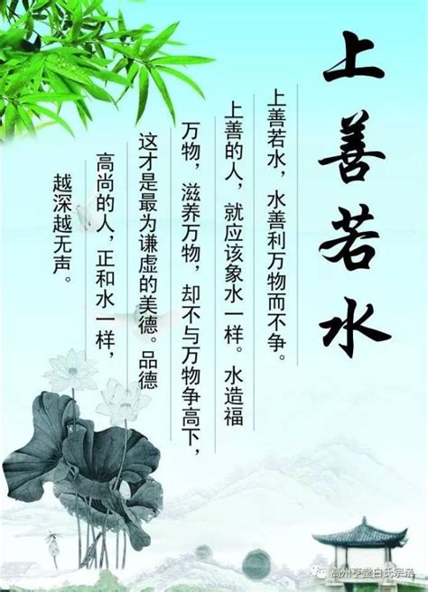 水水的意思